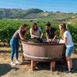 Dalla scuola alla vigna: la straordinaria avventura di due viticoltori a Vittoria