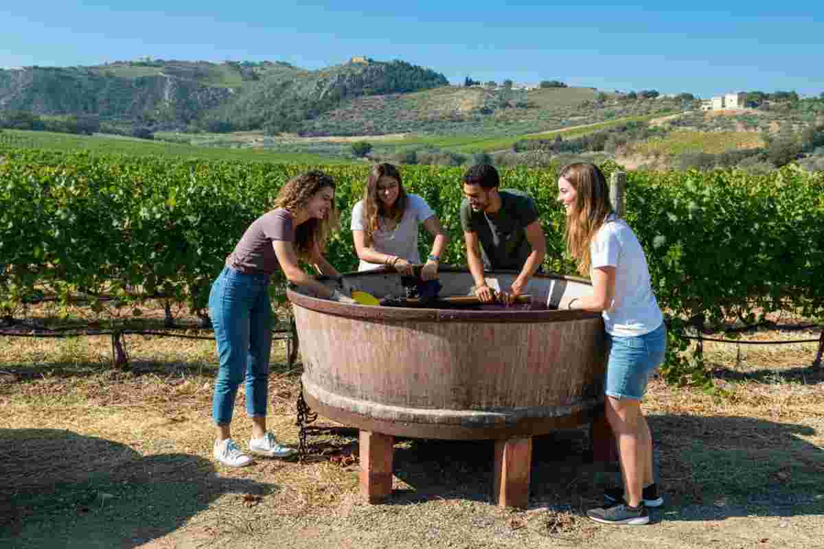 Dalla scuola alla vigna: la straordinaria avventura di due viticoltori a Vittoria