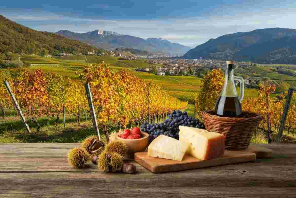 Divin Ottobre: un viaggio tra vino e sapori per accogliere l'autunno in Trentino