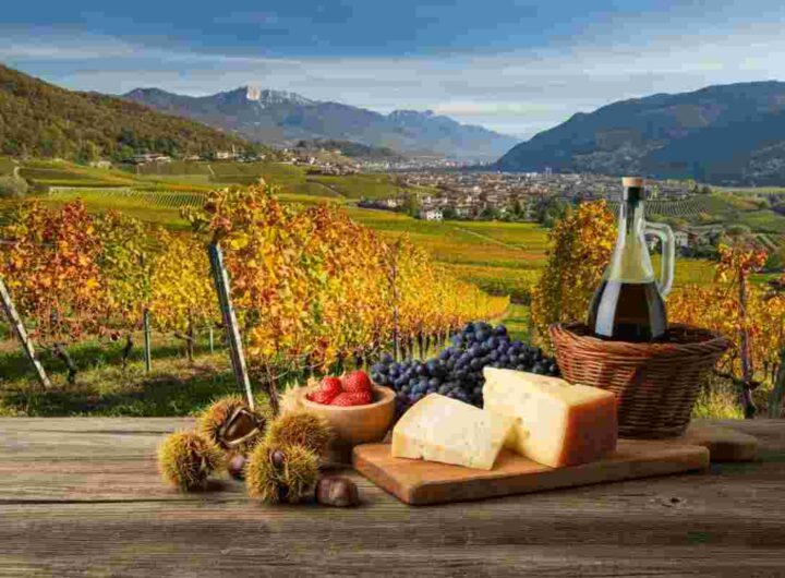 Divin Ottobre: un viaggio tra vino e sapori per accogliere l'autunno in Trentino