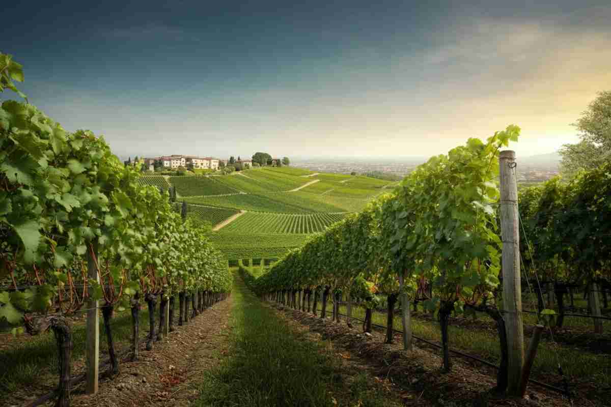 Emanuele Rabotti assume la presidenza del Consorzio del Franciacorta: un nuovo inizio per il vino italiano