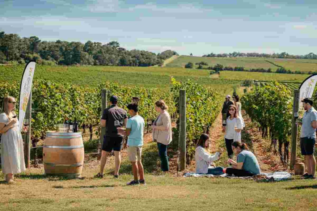Enoturismo in festa: scopri le meraviglie delle Cantine Aperte 2025 in Italia
