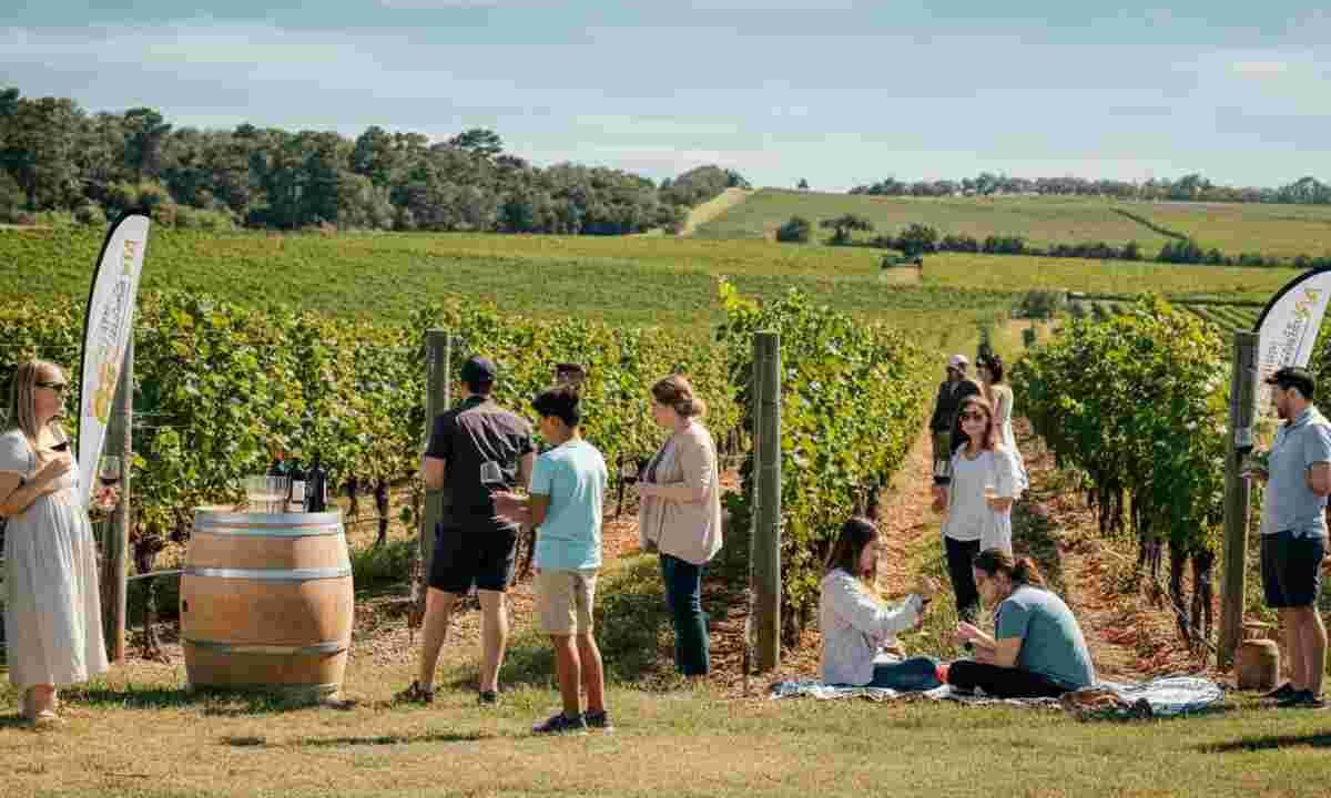 Enoturismo in festa: scopri le meraviglie delle Cantine Aperte 2025 in Italia