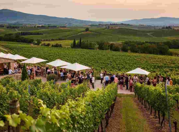 Esplora il programma imperdibile di Cantine Aperte 2025 in Umbria