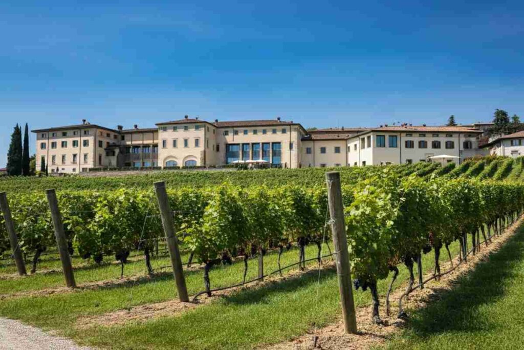 Franciacorta: l'eleganza e il carattere di Laura e Cesare Bosio
