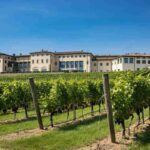 Franciacorta: l'eleganza e il carattere di Laura e Cesare Bosio