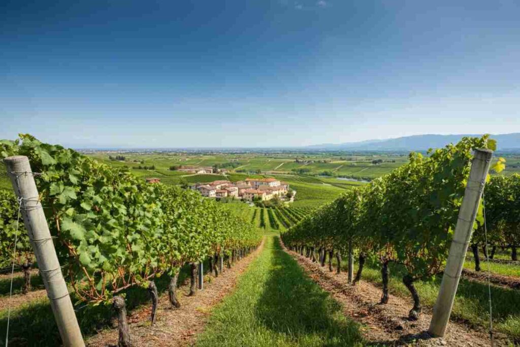 Franciacorta: un nuovo capitolo con Rabotti alla presidenza