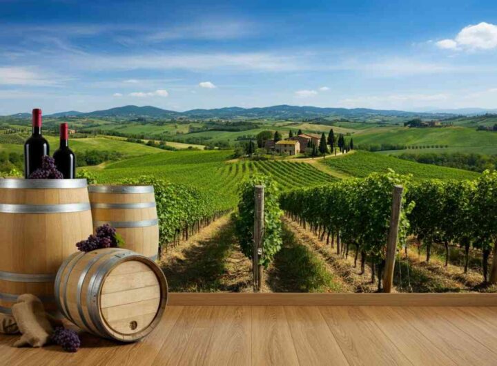 Giulitta Zamperini: una nuova era alla presidenza del Consorzio del Vino Orcia