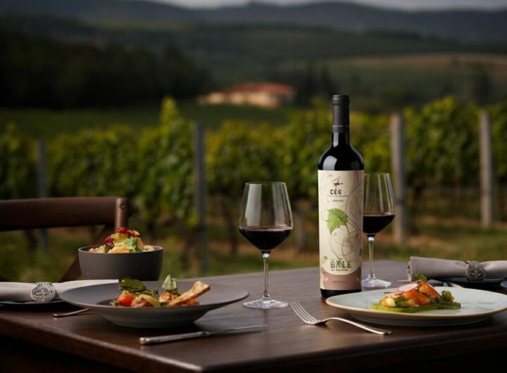 Grola: il vino ribelle di Valpolicella che conquista il palato