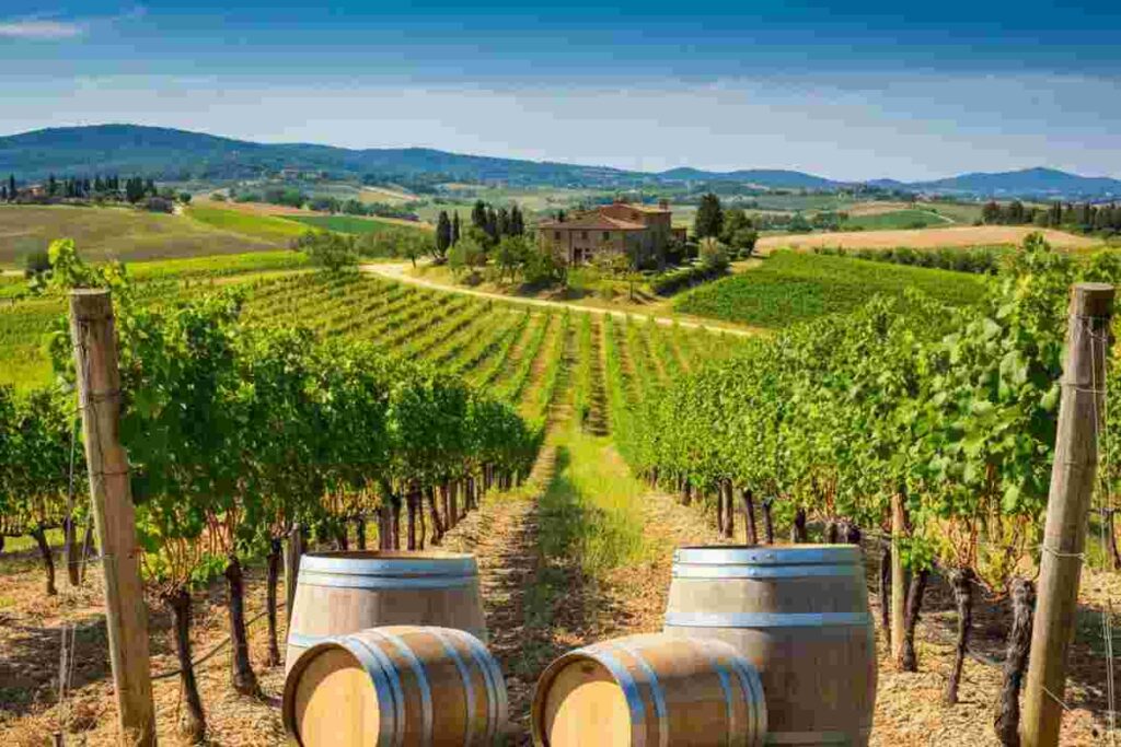 Iem e Toscana Promozione: un accordo strategico per il futuro del 2014