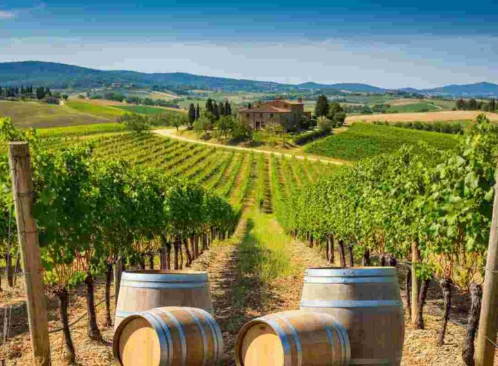 Iem e Toscana Promozione: un accordo strategico per il futuro del 2014
