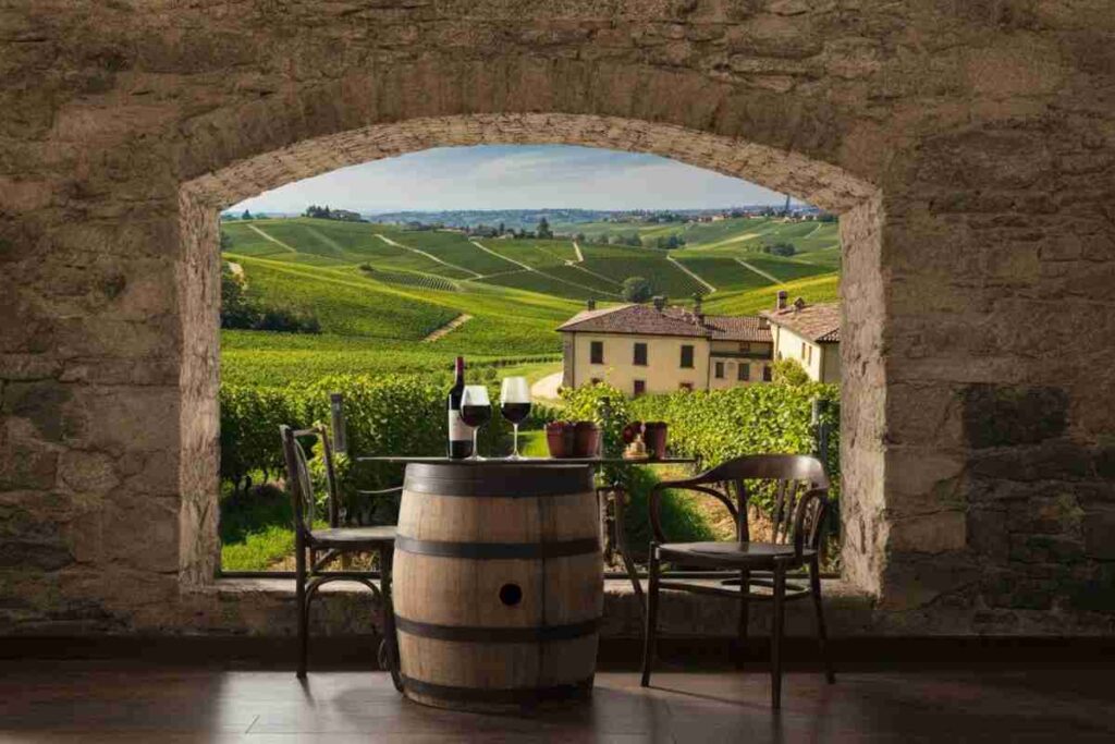 Il Barolo: un viaggio tra cambiamento, formazione e l'arte di dire di no nell'enoturismo
