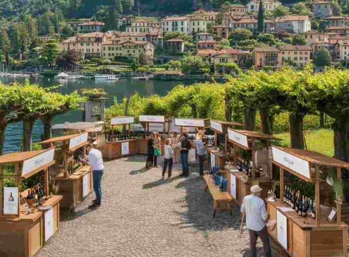 Il Palio del Chiaretto 2025: un viaggio rosa tra Bardolino e Lazise