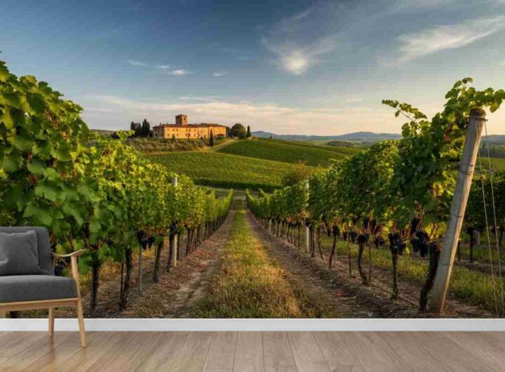 Il misterioso fascino di Picconero 2019: un viaggio tra storia e avventura