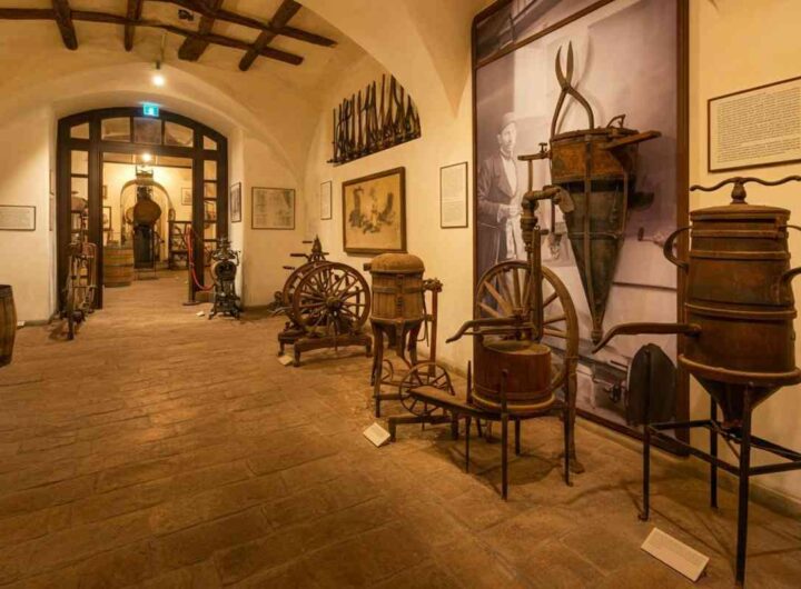Il museo delle macchine del vino di Carpineto si unisce alla Fondazione Musei Senesi
