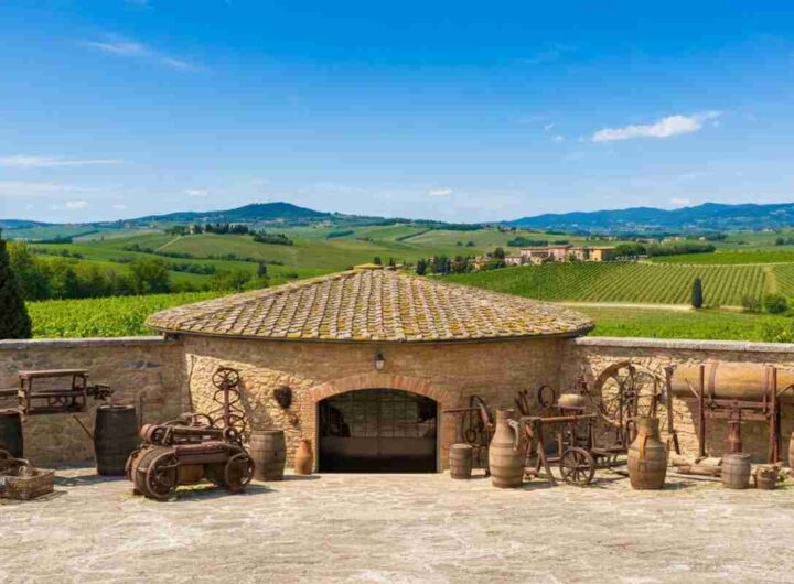 Il primo museo della viticoltura apre a Chianciano Terme: scopri le macchine del vino
