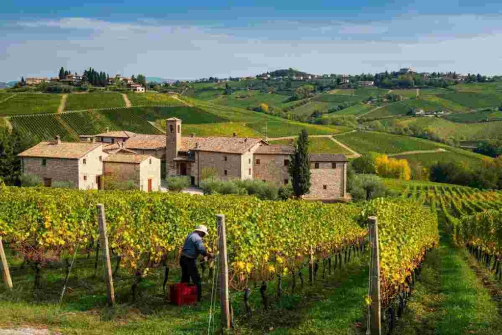 La nuova carta del Classico svela i segreti dei maestri del Soave