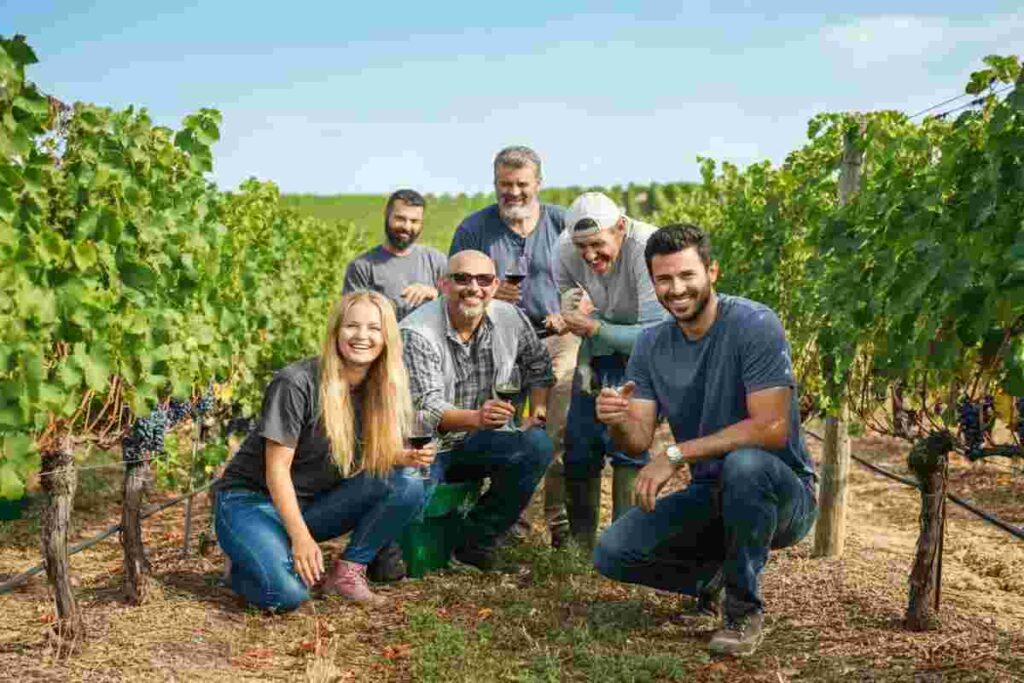 La vendemmia solidale di Le Manzane: un ponte di speranza per una scuola in Ghana