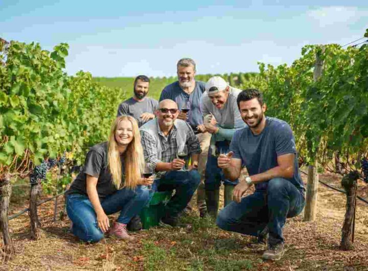 La vendemmia solidale di Le Manzane: un ponte di speranza per una scuola in Ghana