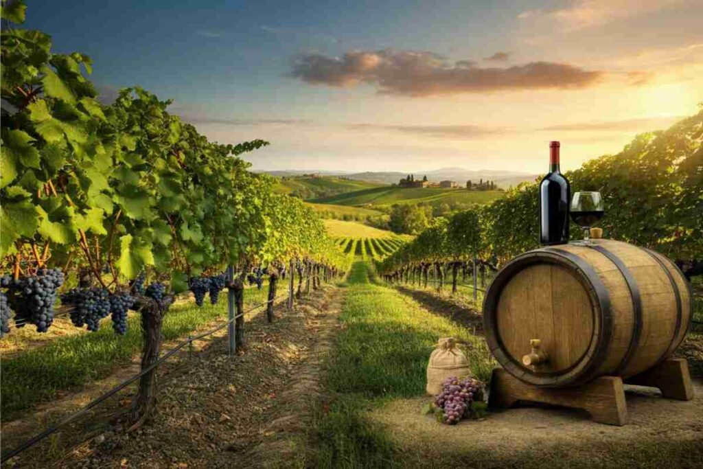 L'export del vino italiano: 98 milioni dal MASAF per espandersi oltre l'UE