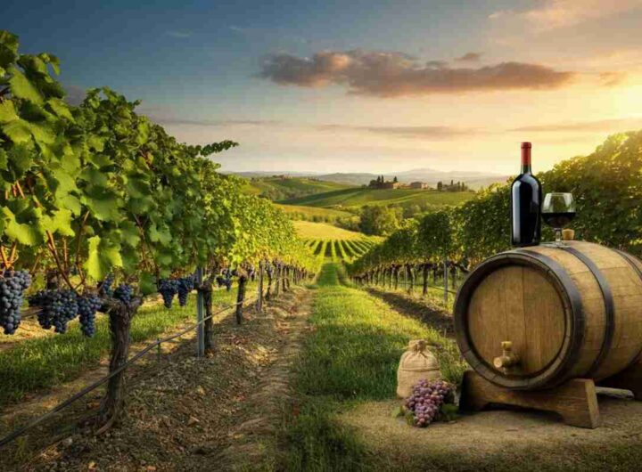 L'export del vino italiano: 98 milioni dal MASAF per espandersi oltre l'UE