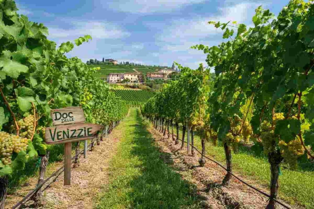 Luca Rigotti: il nuovo volto del Consorzio Doc delle Venezie