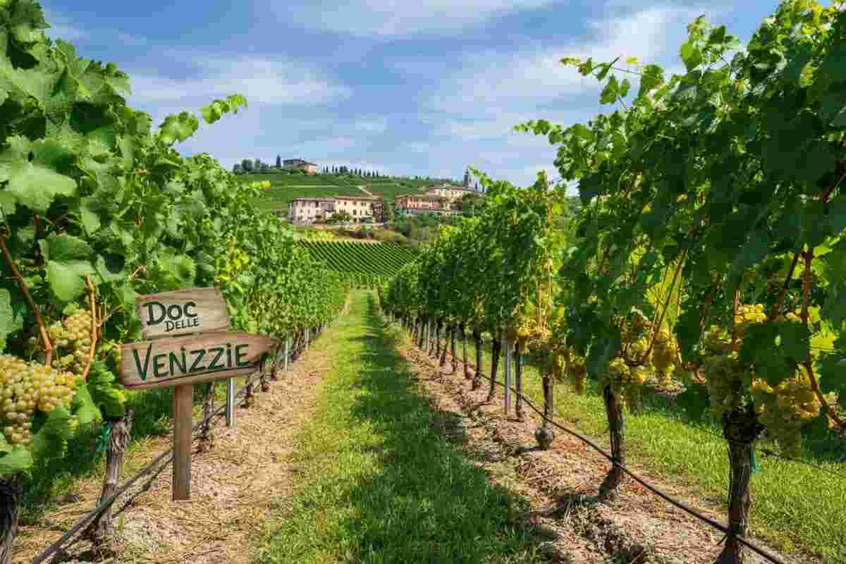 Luca Rigotti: il nuovo volto del Consorzio Doc delle Venezie