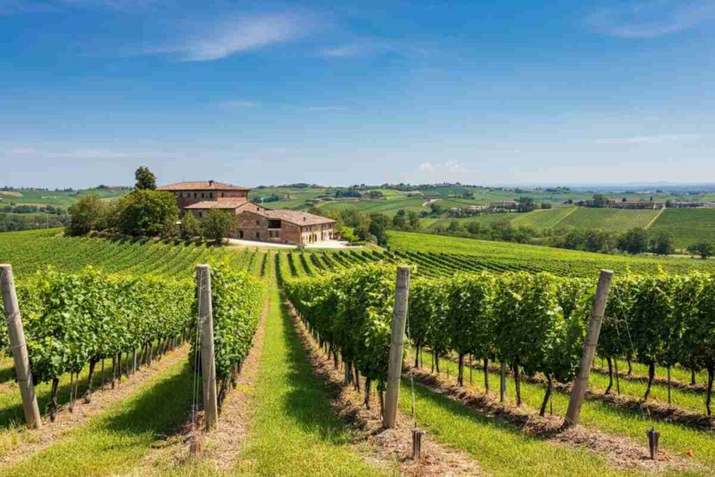 Piccinini alla guida del Consorzio Emilia-Romagna: una nuova era in arrivo