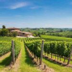 Piccinini alla guida del Consorzio Emilia-Romagna: una nuova era in arrivo