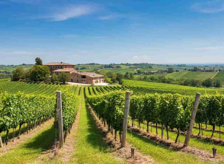 Piccinini alla guida del Consorzio Emilia-Romagna: una nuova era in arrivo