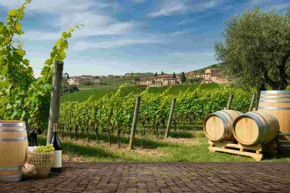 Riccardo Cotarella: un leader indiscusso confermato alla presidenza di Assoenologi per il quinto mandato consecutivo