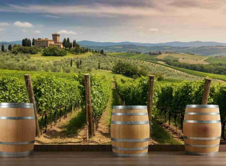 Rivitalizzare la tradizione toscana: il progetto ToSca e la botte di castagno al centro della filiera bosco-vigna