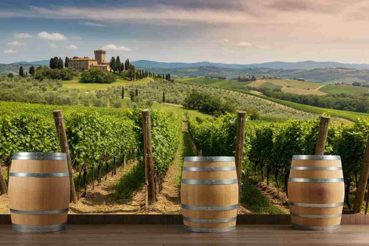 Rivitalizzare la tradizione toscana: il progetto ToSca e la botte di castagno al centro della filiera bosco-vigna