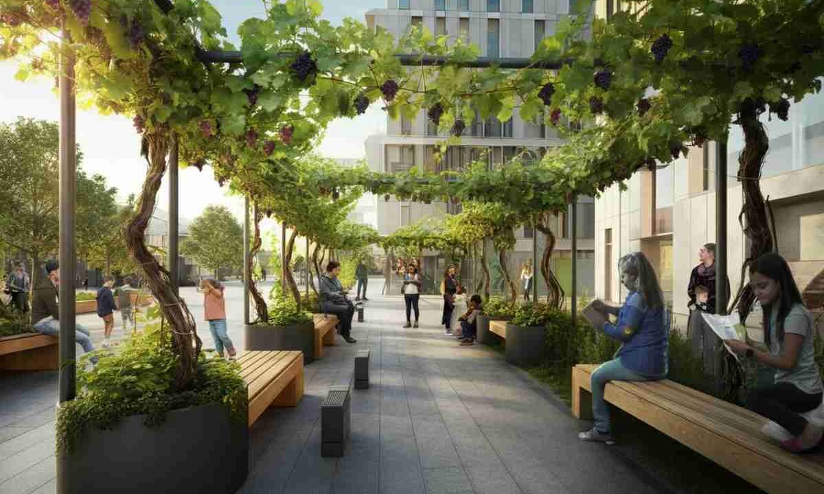 Scopri Campus Grapes: il vigneto urbano che rivoluziona l'Università di Torino