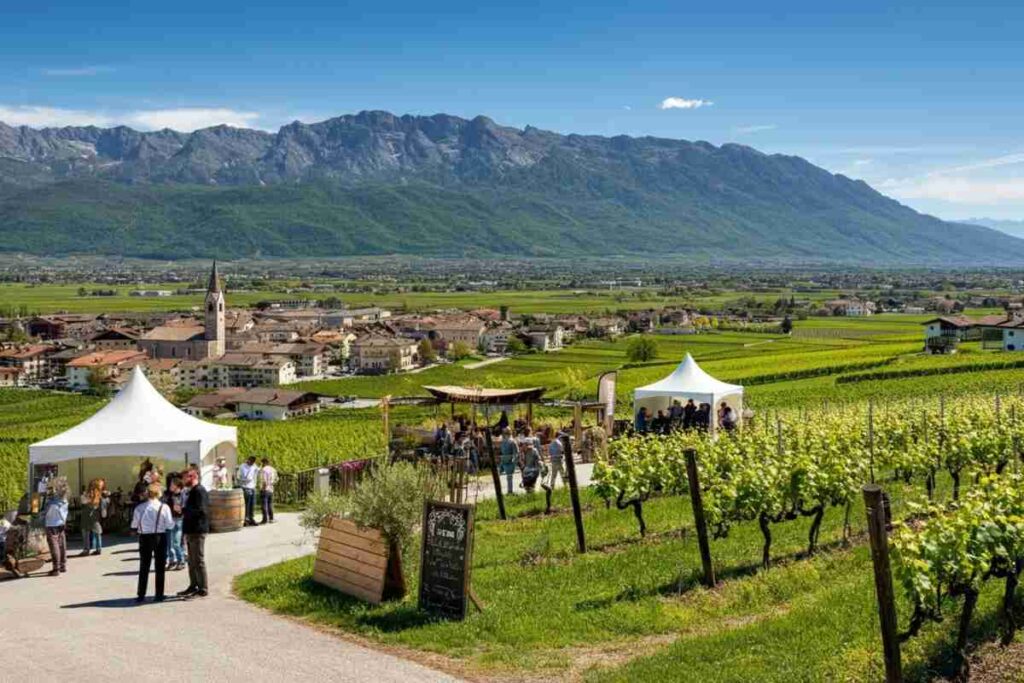 Scopri i grandi vini di Vinaltum a Schloss Freudenstein con Reinhold Messner in cucina