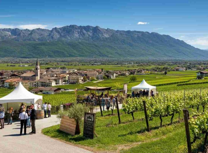 Scopri i grandi vini di Vinaltum a Schloss Freudenstein con Reinhold Messner in cucina