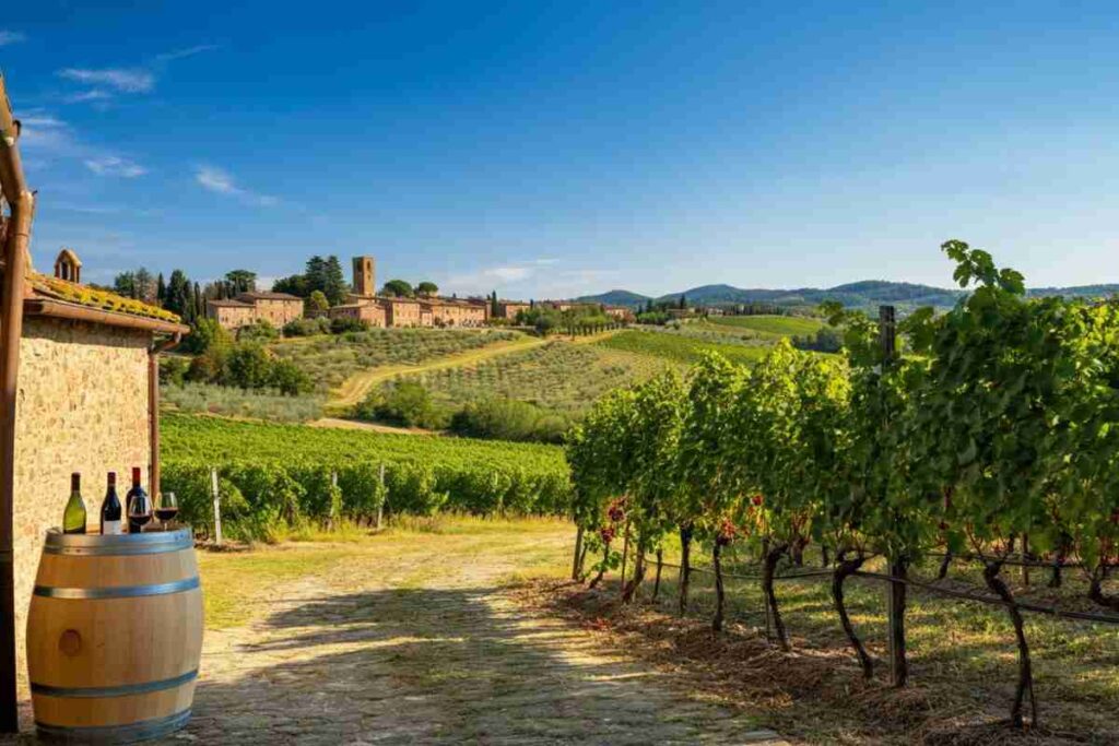 Scopri i segreti dei grandi vini del Chianti Classico a I Profumi di Lamole 2025