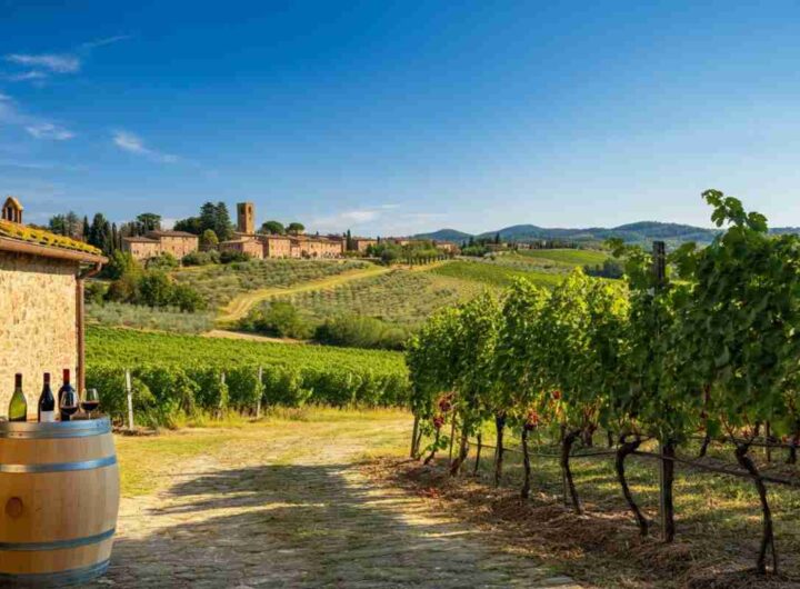 Scopri i segreti dei grandi vini del Chianti Classico a I Profumi di Lamole 2025