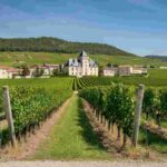 Scopri i tesori del Château des Jacques: vini da invecchiamento nel cuore del Beaujolais