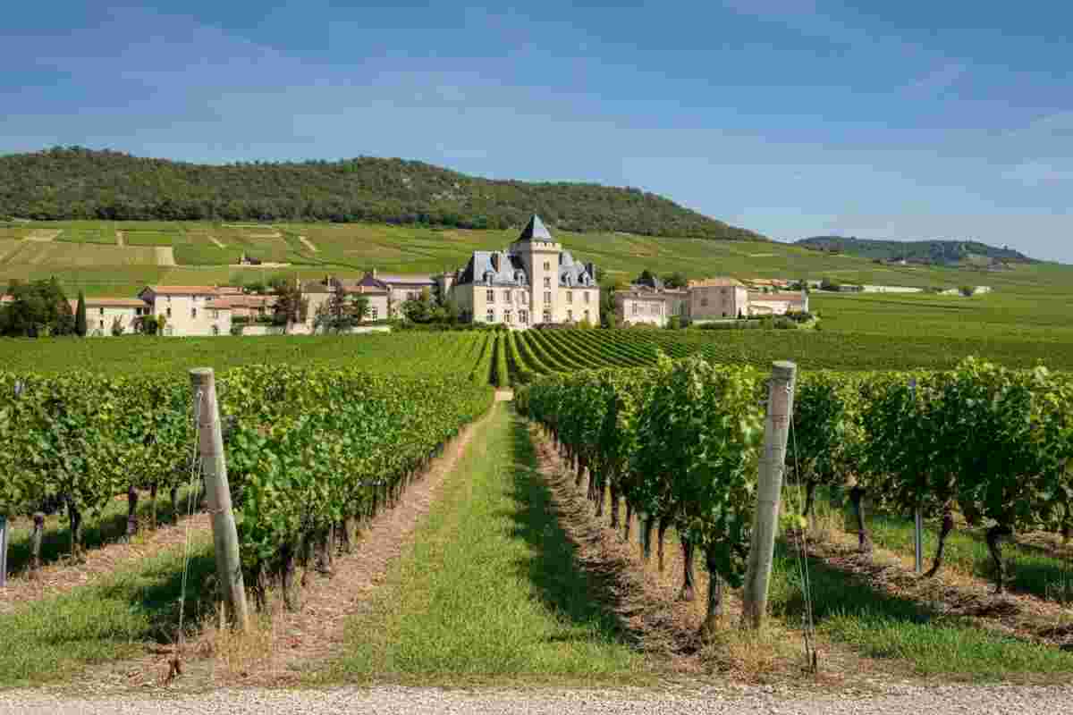 Scopri i tesori del Château des Jacques: vini da invecchiamento nel cuore del Beaujolais
