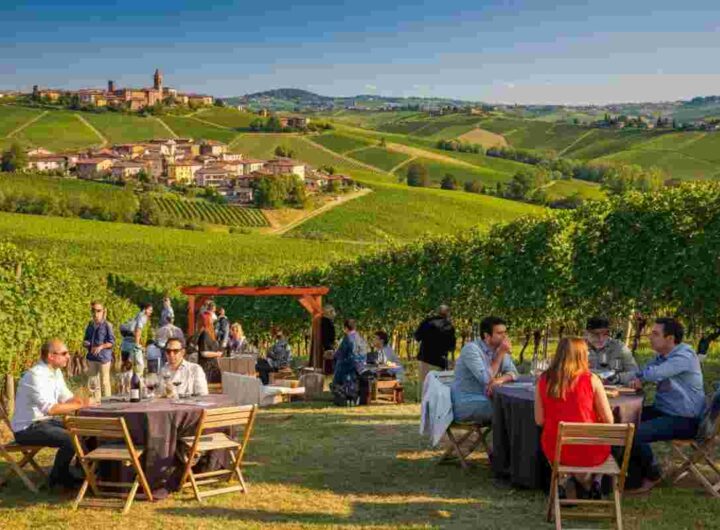 Scopri i tesori vinicoli del Monferrato con Giro di DOC