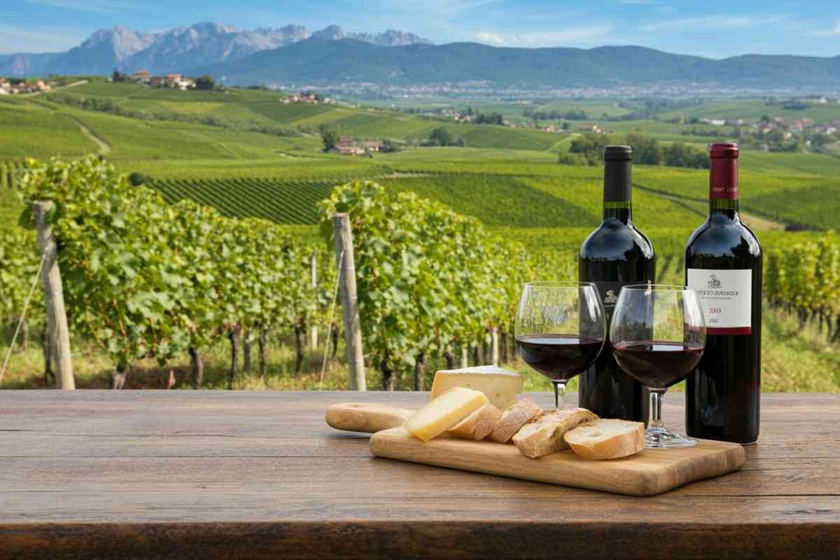 Scopri i trionfatori del Concorso Nazionale Pinot Nero 2023