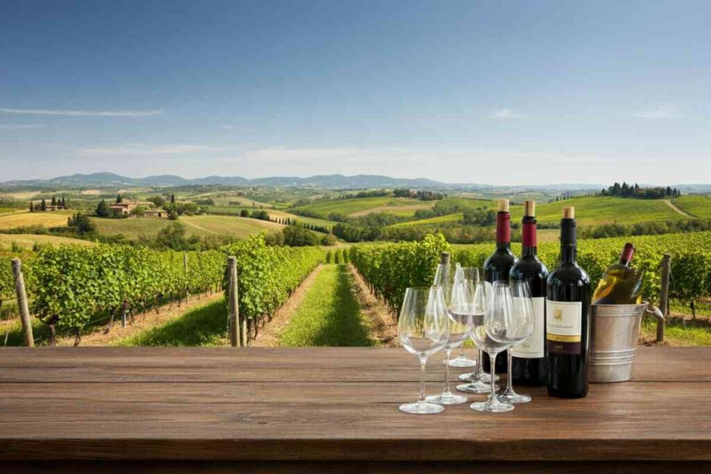 Scopri i vini che entreranno nel Museo del Vino di Siena