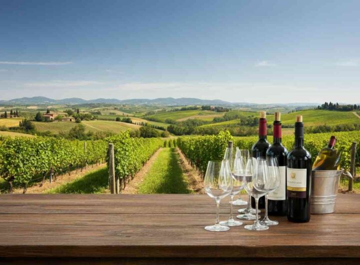 Scopri i vini che entreranno nel Museo del Vino di Siena