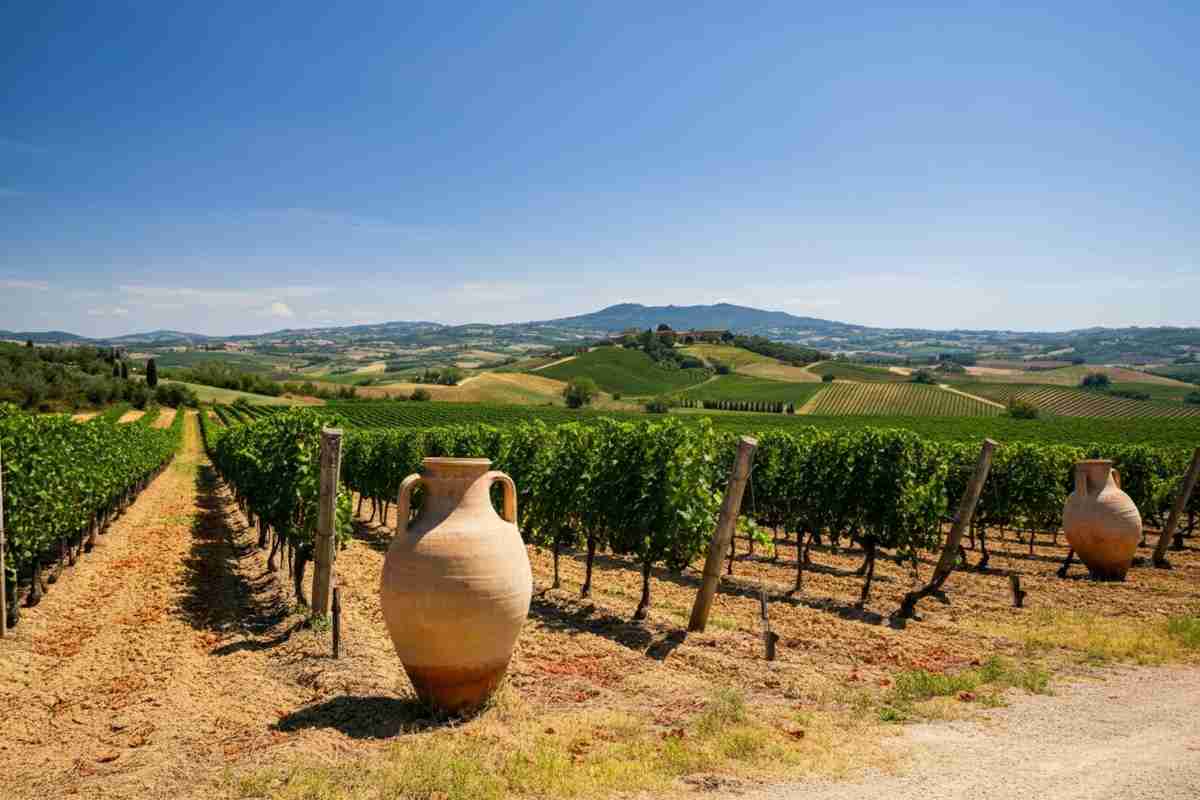 Scopri i vini rari del centro Italia: l'eccellenza al femminile in bottiglia