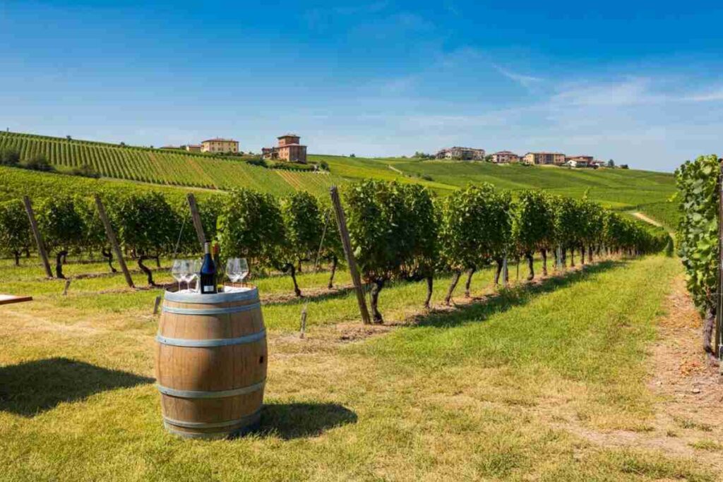 Scopri il Monferrato: sette mesi di eventi enogastronomici imperdibili