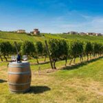 Scopri il Monferrato: sette mesi di eventi enogastronomici imperdibili