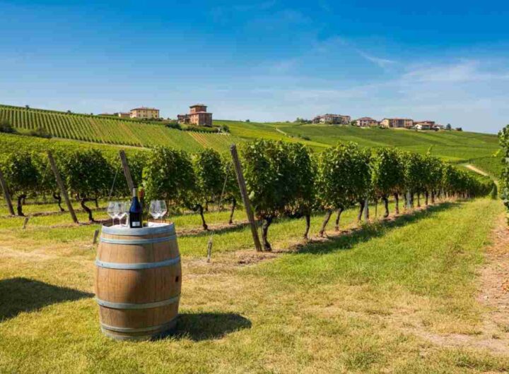 Scopri il Monferrato: sette mesi di eventi enogastronomici imperdibili