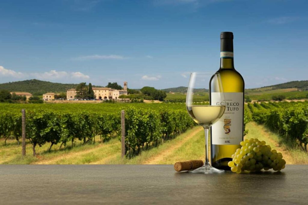 Scopri il tesoro dei vini Greco di Tufo D.O.C.G. su Wineshop.it