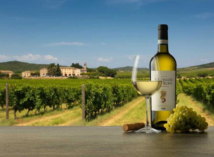 Scopri il tesoro dei vini Greco di Tufo D.O.C.G. su Wineshop.it